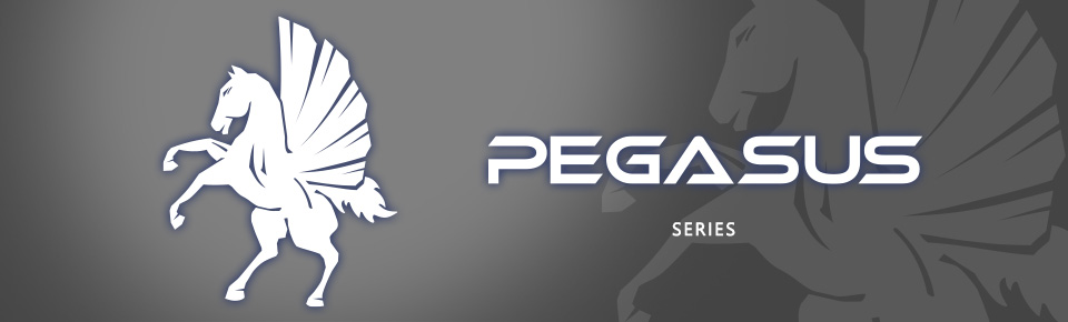 Products :: Gainward GeForce RTX™ 3060 Pegasus