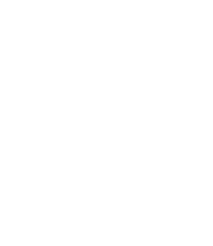 Gainward pegasus 2025